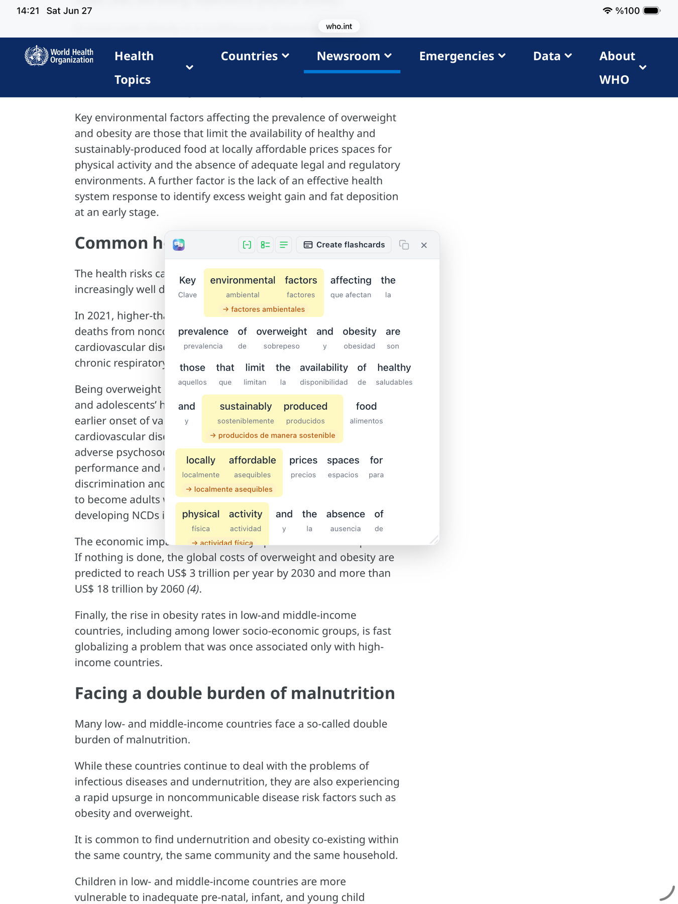 Chunkly Safari extension translating selected text on a web page on iPad
